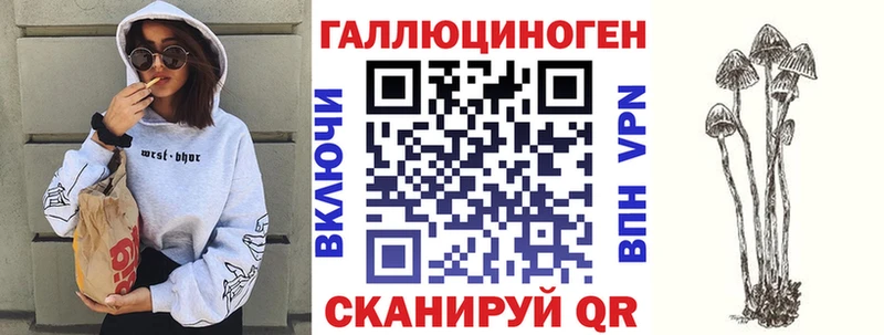 купить наркоту  Сухой Лог  Псилоцибиновые грибы Psilocybe 